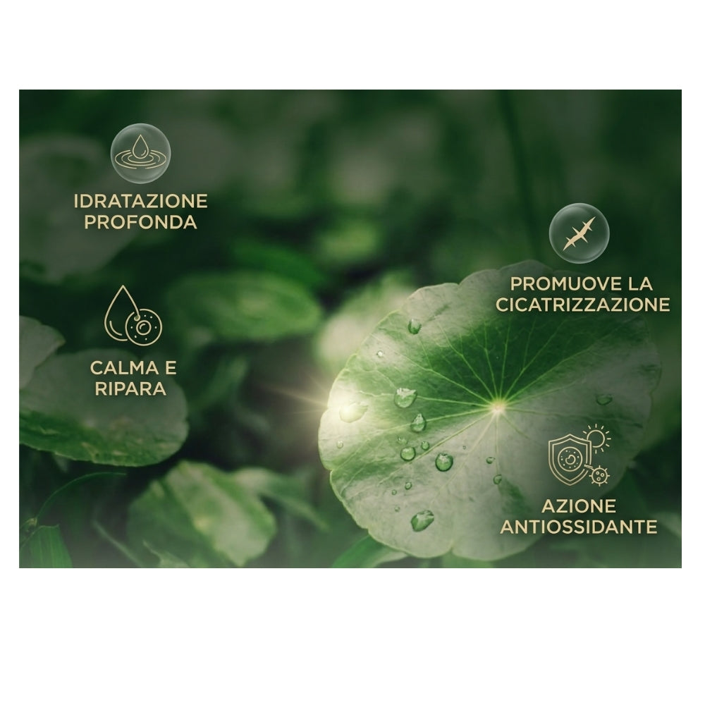 Siero™  - Centella Asiatica