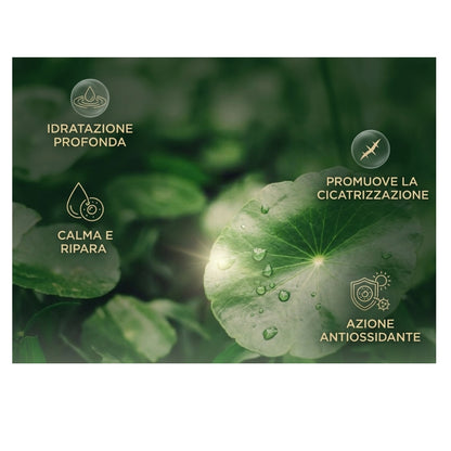 Siero™  - Centella Asiatica